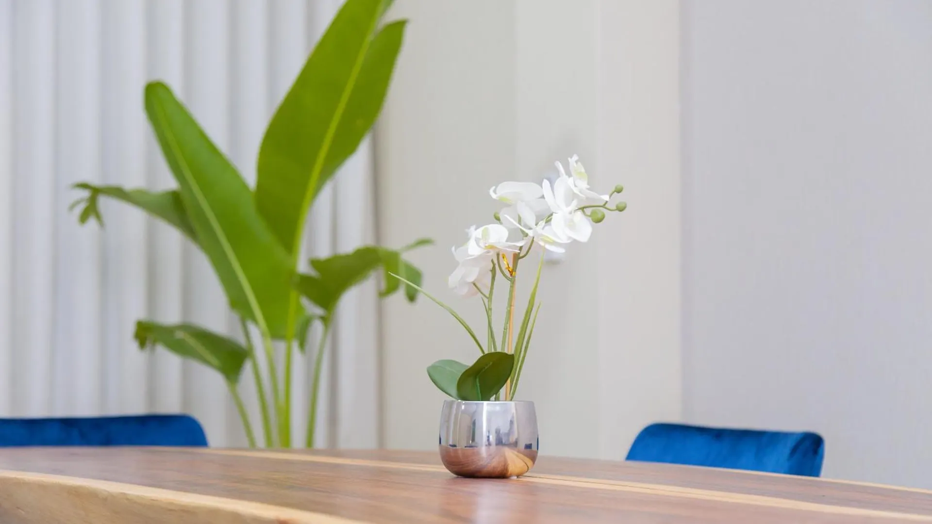 Apartamento Nuevo En Manga Cartagena